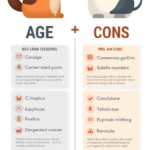 Can You Get Pet Insurance for Older Pets? Image 1766175496233.webp Image 150x150