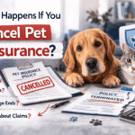 chatgpt image mar 5, 2026, 02 31 32 am (1)